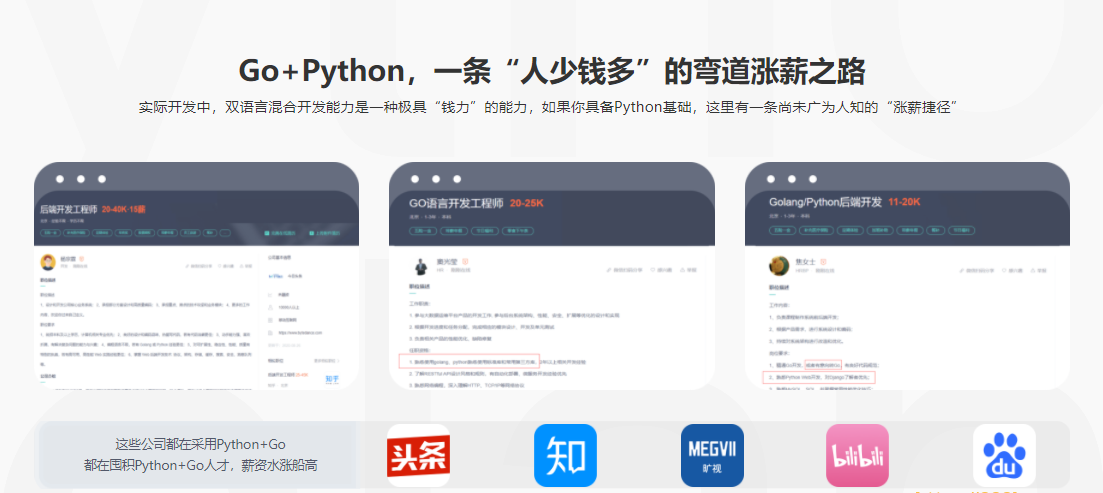 体系课-Go+Python双语言混合开发 |完结无秘|百度云下载