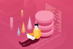 轻松实现Rust系统入门，实战编译器开发|完结无秘