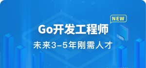 Go开发工程师|阶段八完结无秘