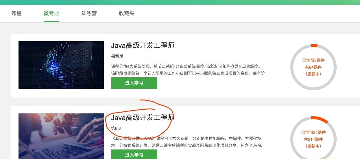 WZ业-Java高级开发工程师|课件齐全【价值8399元】|