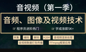 音视频开发技术学习视频教程(第一季)-2021进阶年课|完结无秘