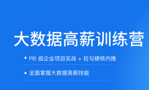 LG-大数据开发高薪训练营|完结无秘