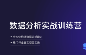 LG-数据分析实战训练营|价值12890元|完结无秘