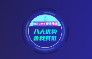 SG谷-Java后端+Java大数据+前端  |完结无秘