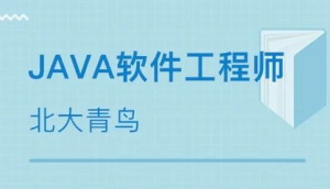 北大青鸟java49期|完结无秘