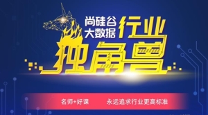 SG谷大数据项目实战提升大神班|2021|完结无秘