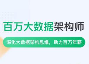 NX-P8百万大数据架构师一期|2022年|价值35999元|重磅首发|完结无秘