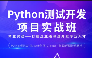 SQ-Python测试开发项目实战课程3期|2022年|课件完整|价值12000元|完结无秘