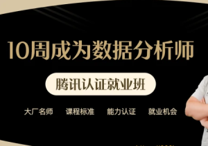 TX-10周成为数据分析师6期系列课|价值9899元|完整版无秘