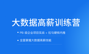 LG-大数据开发高薪训练营14期|2022年|价值8800元|重磅首发|完结无秘