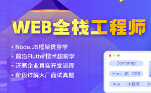 DN-web全栈工程师2022年|价值24800元|重磅首发|完结无秘