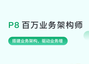 NXP8百万业务架构师3期|2022年|孙玄主讲|重磅首发|完结无秘