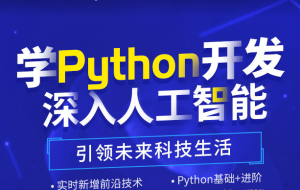 DN-python人工智能|2022年4月|价值24800元|重磅首发|完结无秘
