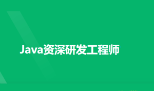 NX-Java资深研发工程师9期|2022年|完结无秘
