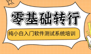 CN学堂-软件测试31期|2022年|价值9800元|重磅首发|完结无秘