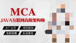 MS兵-Java高级互联网架构师|1-7班|2022年价值19800元|完结无秘