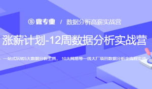 WY-涨薪计划12周数据分析实战营|2022年|价值6698元|重磅首发|完结无秘
