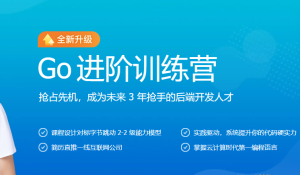 JK大学-Go进阶训练营第四期|价值6999元|14周|完结无秘