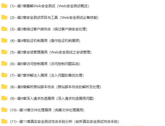 Web 安全实战宝典 系统学习网络安全核心技能|11章完结无秘