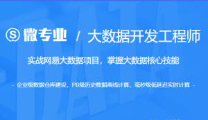 WY云WZ业-大数据开发工程师|价值14500元|重磅首发|课件齐全|13章完结无秘