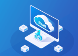 Go开发者的涨薪通道，自主开发PaaS平台核心功能|完结无秘