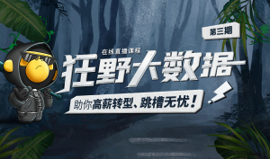 BX谷-狂野大数据四期|2022年|价值14980元|课件齐全|冲击年薪百万|完结无秘