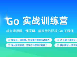 某客时间-Go实战训练营1期|价值5999|2023年|完结无秘16周
