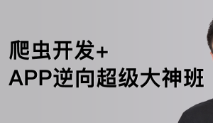 陆飞-爬虫开发+APP逆向超级大神班1-8班|价值4999|2023年|课件完整|无秘包更新