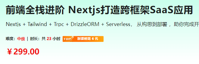 前端全栈进阶 Nextjs打造跨框架SaaS应用|更新至第7章