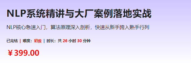 NLP系统精讲与大厂案例落地实战