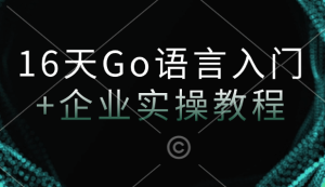 16天Go语言入门+企业实操教程