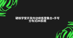 硬核学堂-开发内功修炼营集合+手写分布式IM系统