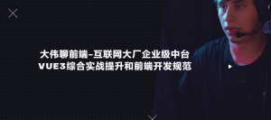 大伟聊前端-互联网大厂企业级中台Vue3综合实战提升和前端开发规范