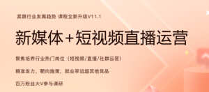 2024年11月版黑马新媒体+短视频直播课程