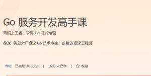 极客-Go服务开发高手课