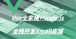 Vue全家桶+Node.js全栈开发Xmall商城