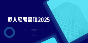 野人软考高项2025|完结