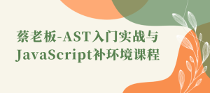 蔡老板-AST入门实战与JavaScript补环境课程