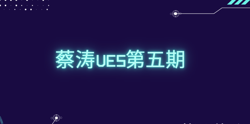 蔡涛UE5第五期