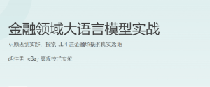 金融领域大模型实战