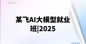 某飞AI大模型就业班|2025