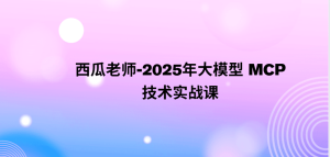 西瓜老师-2025年大模型 MCP 技术实战课